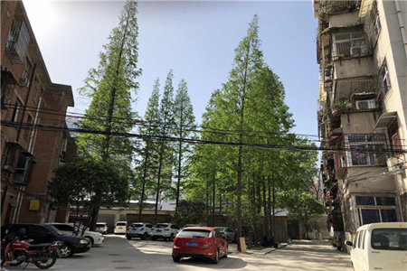 密州金都小区2室1厅1卫35万71m2出售